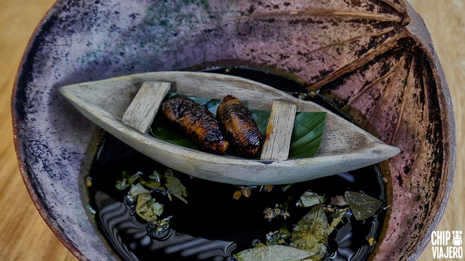 Amazonas Colombia Gastronomía Típica