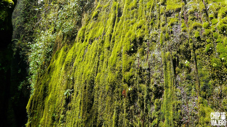 Como Llegar a La Cueva del Esplendor Jardín Antioquia