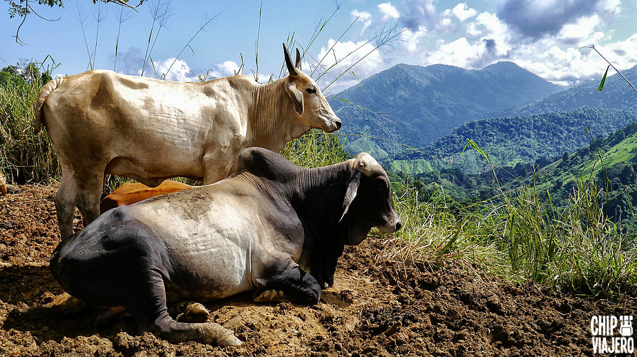 Como Llegar a Ciudad Perdida Sierra Nevada de Santa Marta