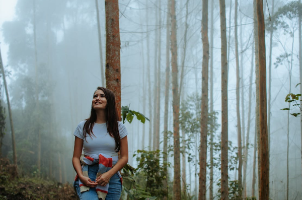 El parlante Bose SoundLink